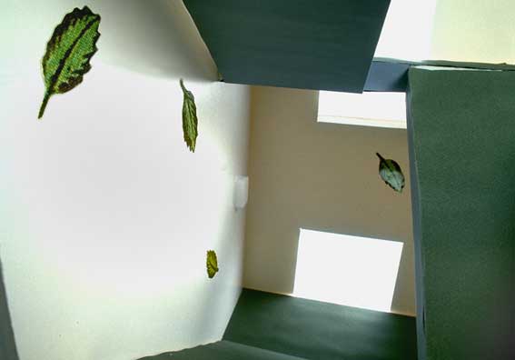 schatten02